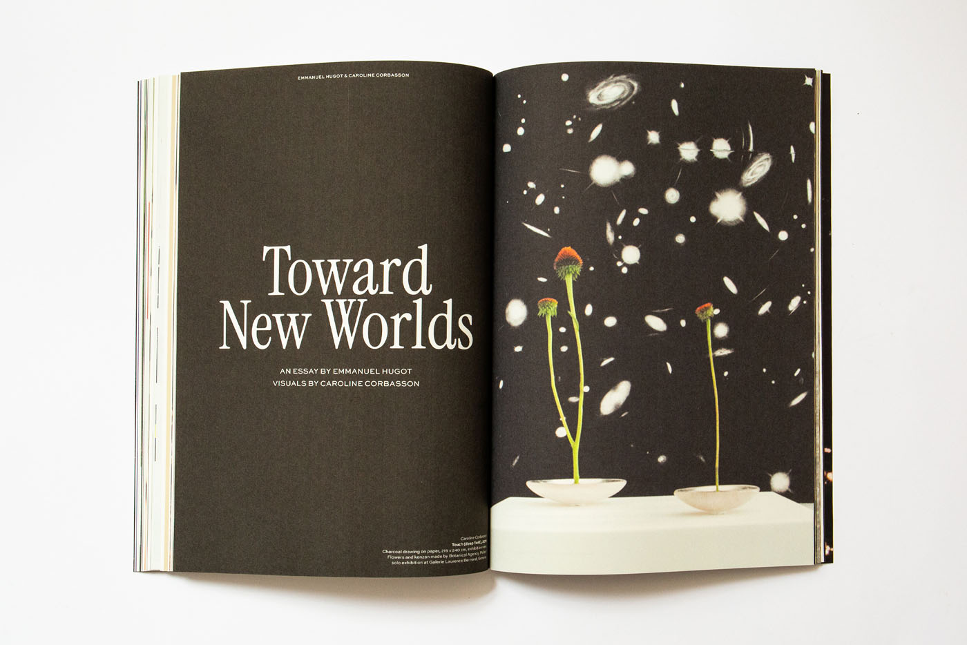 creative direction branding publishing amsterdam magazine logo visual identity